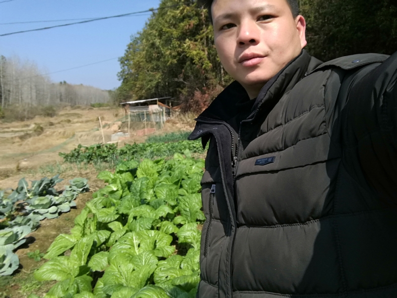倔强的驴的第一张照片--茂名相亲服务中心