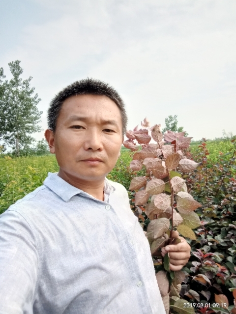 孩子爸的第一张照片--茂名相亲服务中心