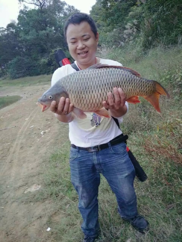 迷路的男人的第一张照片--茂名相亲服务中心