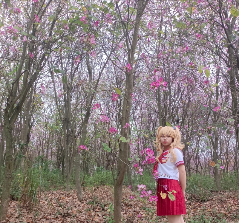 暮秋的第四张照片--茂名相亲服务中心