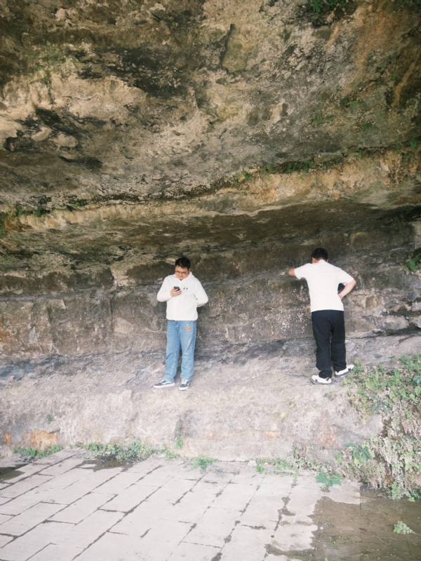 Longererer的第三张照片--茂名相亲服务中心
